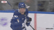 Happy Toronto Maple Leafs GIF by NHL