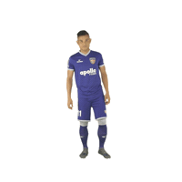 Cfc Heroisl Sticker by Indian Super League