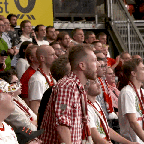 fans yes GIF by FC Bayern Basketball