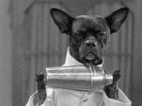 SissaAdv_studio  GIF