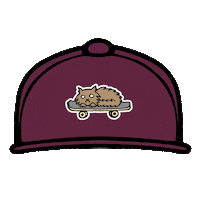 Hat Skateboarding Sticker by Dorcus top breeding system