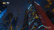 shang hai GIF