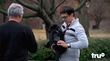 the carbonaro effect cat GIF by truTV