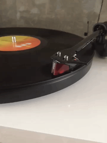 project vinyl GIF