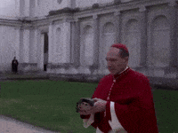 Turtle Pope GIF