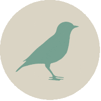 Vogel Miek Sticker by dianafloridas