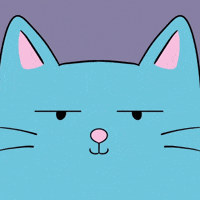 Cat Look GIF
