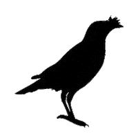 Bird 鳥 Sticker by inBlooomDesign