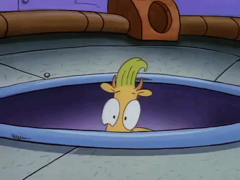 rockos modern life nicksplat GIF