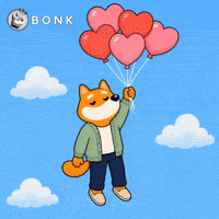 Crypto Solana GIF by BONK