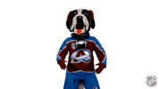 Happy Colorado Avalanche GIF by NHL
