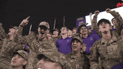 College Football GIF by LSU Tigers