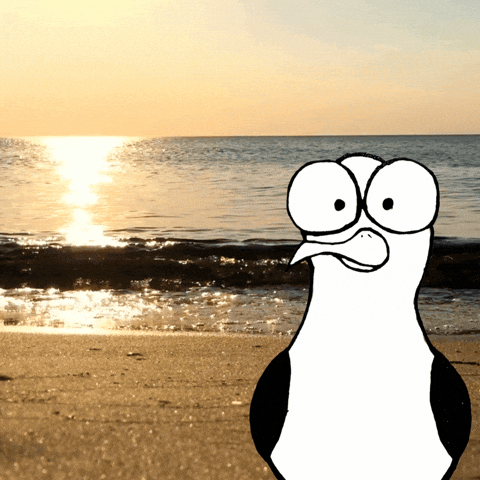 Strand Ostsee GIF by Mundstueck