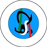 Canyoning Sticker by Recovery-Energy