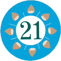 Christmas Countdown Sticker by Waltermedia