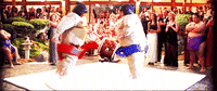 bill murray sumo GIF