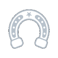 Horse Shoe Acne Expert Sticker by Face Reality Skincare