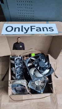 Fan Onlyfans GIF