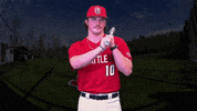 Baseball GIF by Seattle U Redhawks