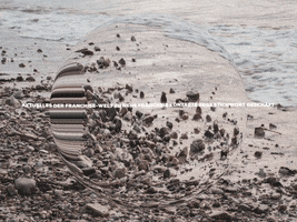 Happy Laugh GIF by FranchiseONE.de