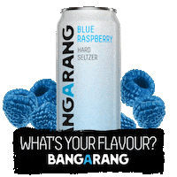 Pink Lemonade Mango Sticker by Bangarang Hard Seltzer