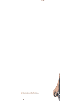 HolaNanoLamberti wow yes what marketing Sticker