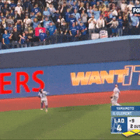 Blue Jays Baseball GIF