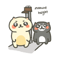 Body Size Cute Cat Sticker