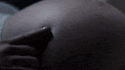 mom tocar GIF
