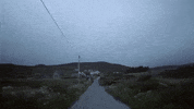 GIF by Eden