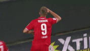 soccer bundesliga GIF by 1. FC Köln