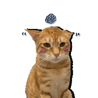 vvheartvv cat angry lubar chaircat Sticker