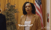 Rachel Skarsten Dog GIF by Hallmark Mystery