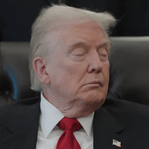 Donald Trump Potus GIF by Respective
