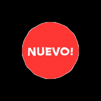 SingularityRealEstate real estate home house casa GIF