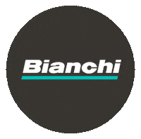 Ibf Sticker by Bianchi