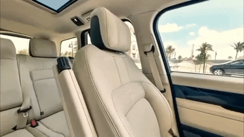 evolvemotive giphygifmaker GIF