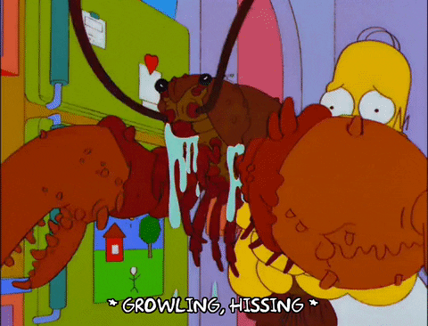 Episode 7 Lobster GIF by The Simpsons