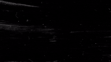 deckoficial deck pitty matriz deckdisc GIF