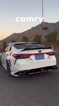 Camry GIF