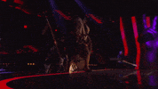 Vikings GIF by La Voix TVA