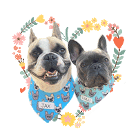 French Bulldogs Dogs Sticker
