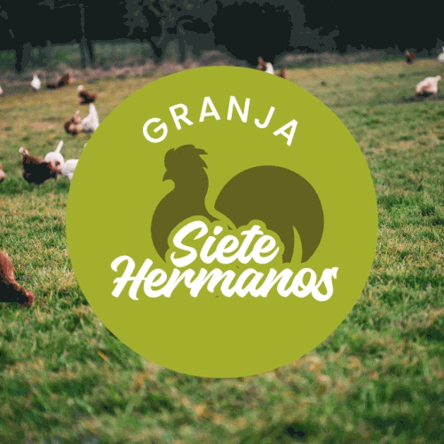 Eggs Cooking GIF by Granja 7 Hermanos