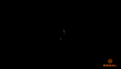 Kraven The Hunter GIF by Regal