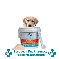 Lab Retrieve Sticker by Europeanpetpharmacy