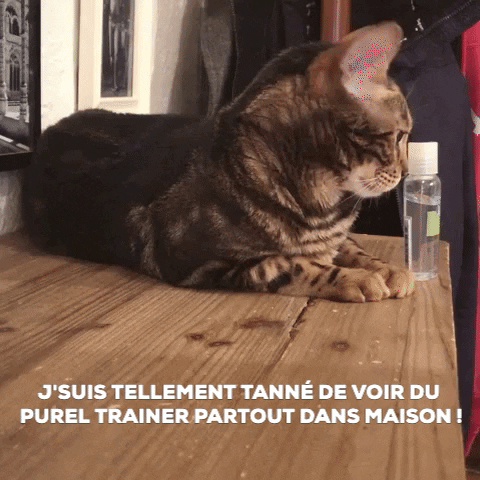 marie-helenebrault giphygifmaker GIF