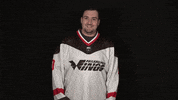 philadelphia wings thumbs up GIF by NLLWings