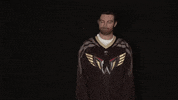 philadelphia wings smh GIF by NLLWings