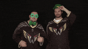 philadelphia wings GIF by NLLWings