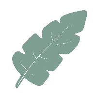 Leaf Leave Sticker